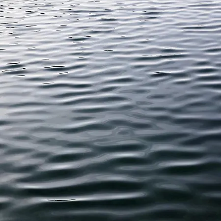 Lejlighed Haus Und Hof - Design Im Salzkammergut Hof bei Salzburg