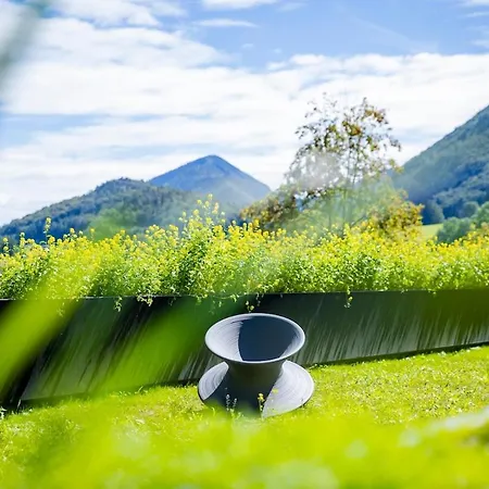 Haus Und Hof - Design Im Salzkammergut Lejlighed